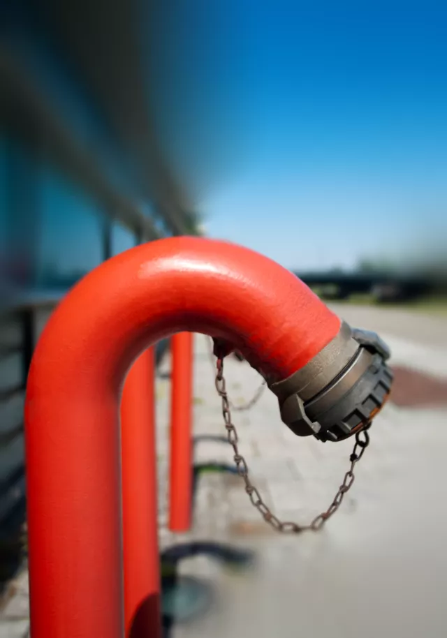 Image of Fire hydrants and columns